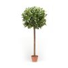 ÁRBOL ARTIFICIAL LAUREL ESFERA