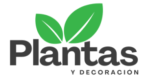 Plantas y decoracion