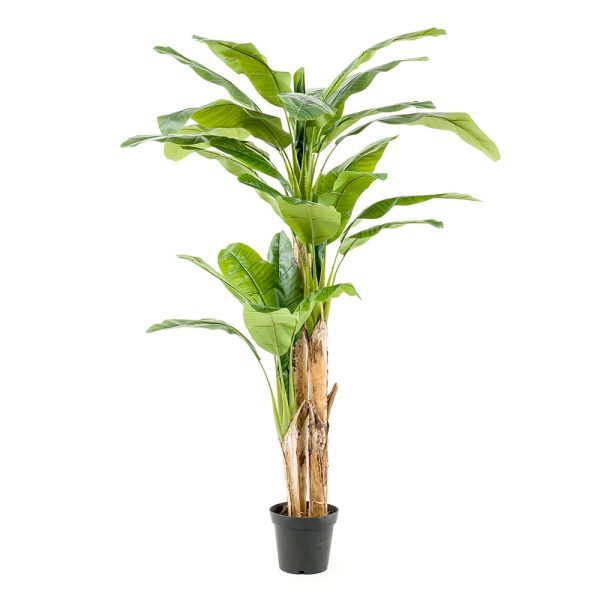 PLANTA ARTIFICIAL